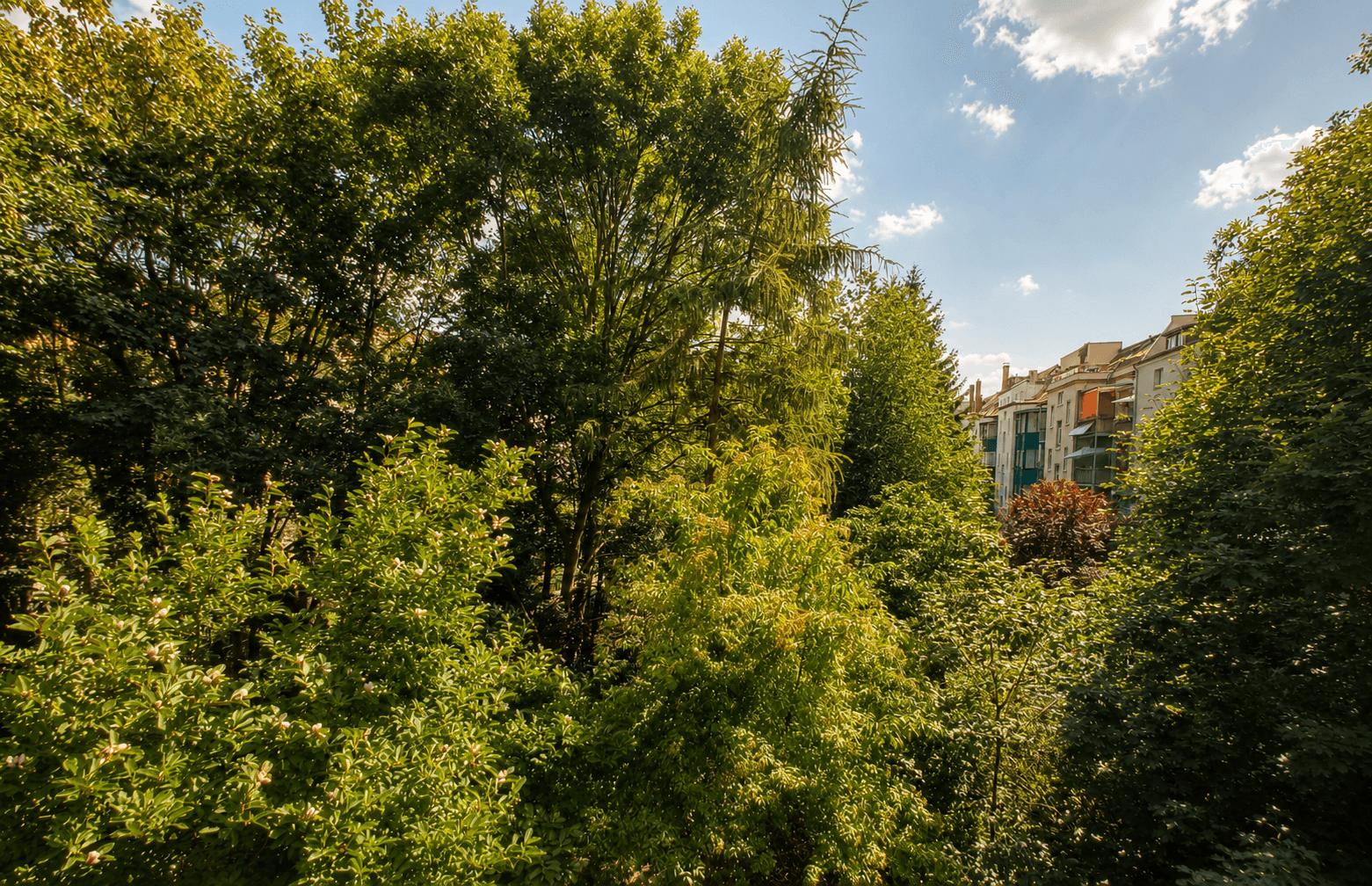 Ausblick_Schnorrstr31