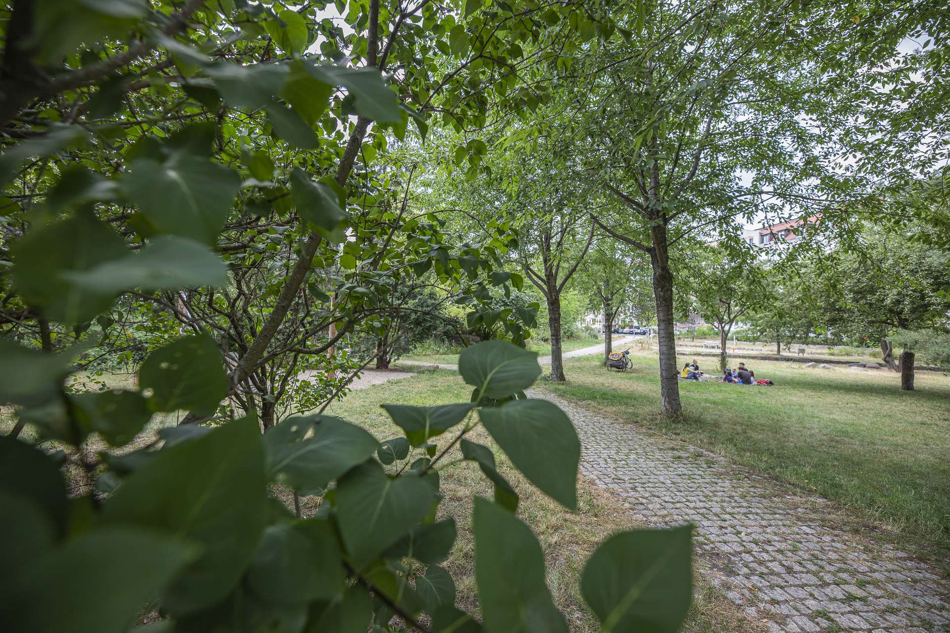 Umgebung Möbiusplatz, Leipzig (Reudnitz-Thonberg)