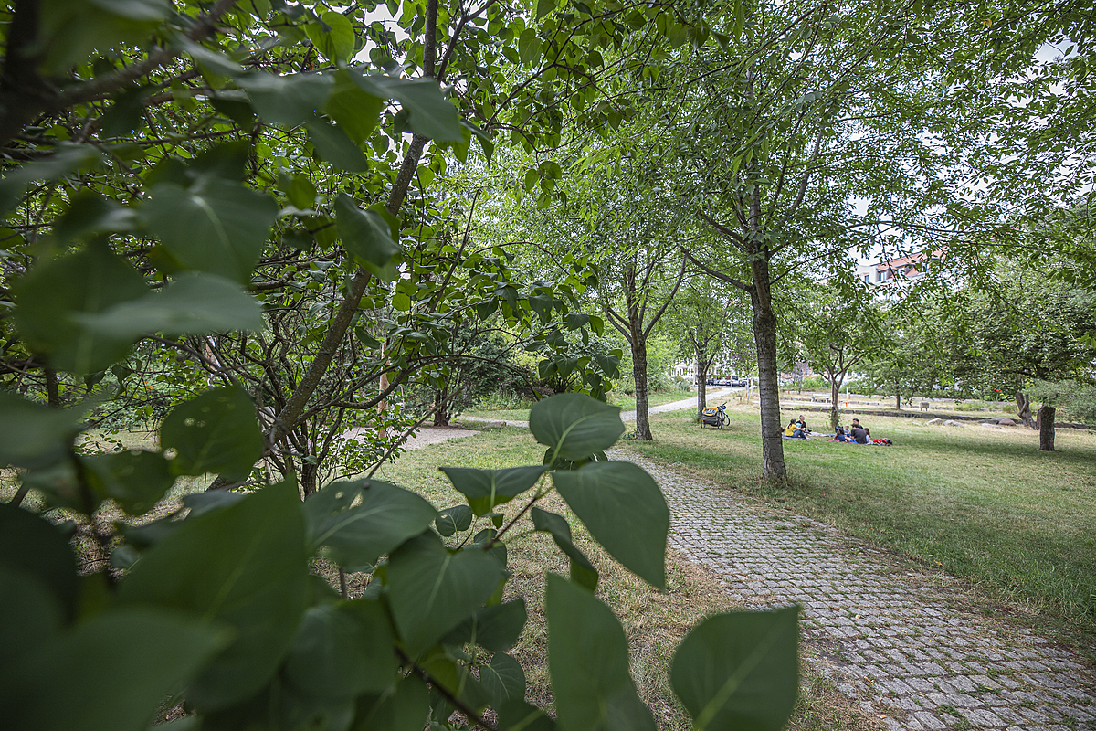 Möbiusplatz, Leipzig (Reudnitz-Thonberg)