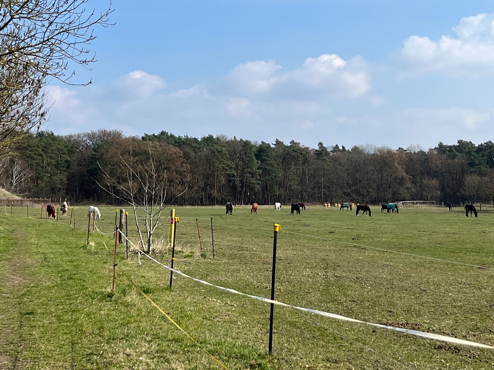 Umgebung Pferdekoppel, Falkensee 