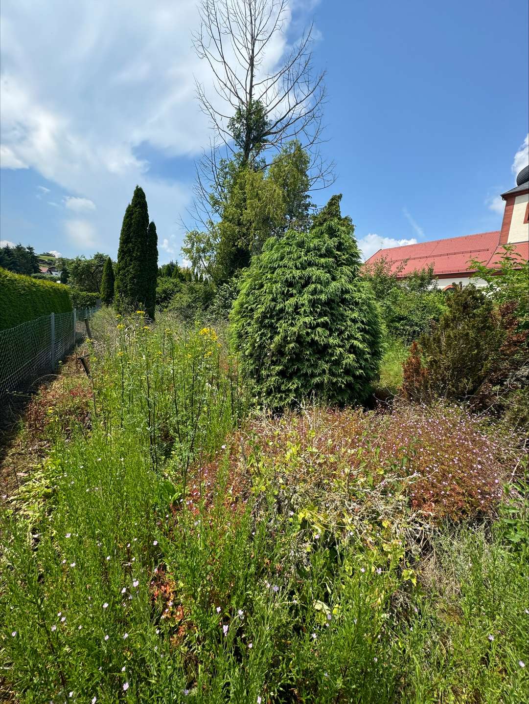 Grundstück zugewachsen, Eiterfeld (Eiterfeld)