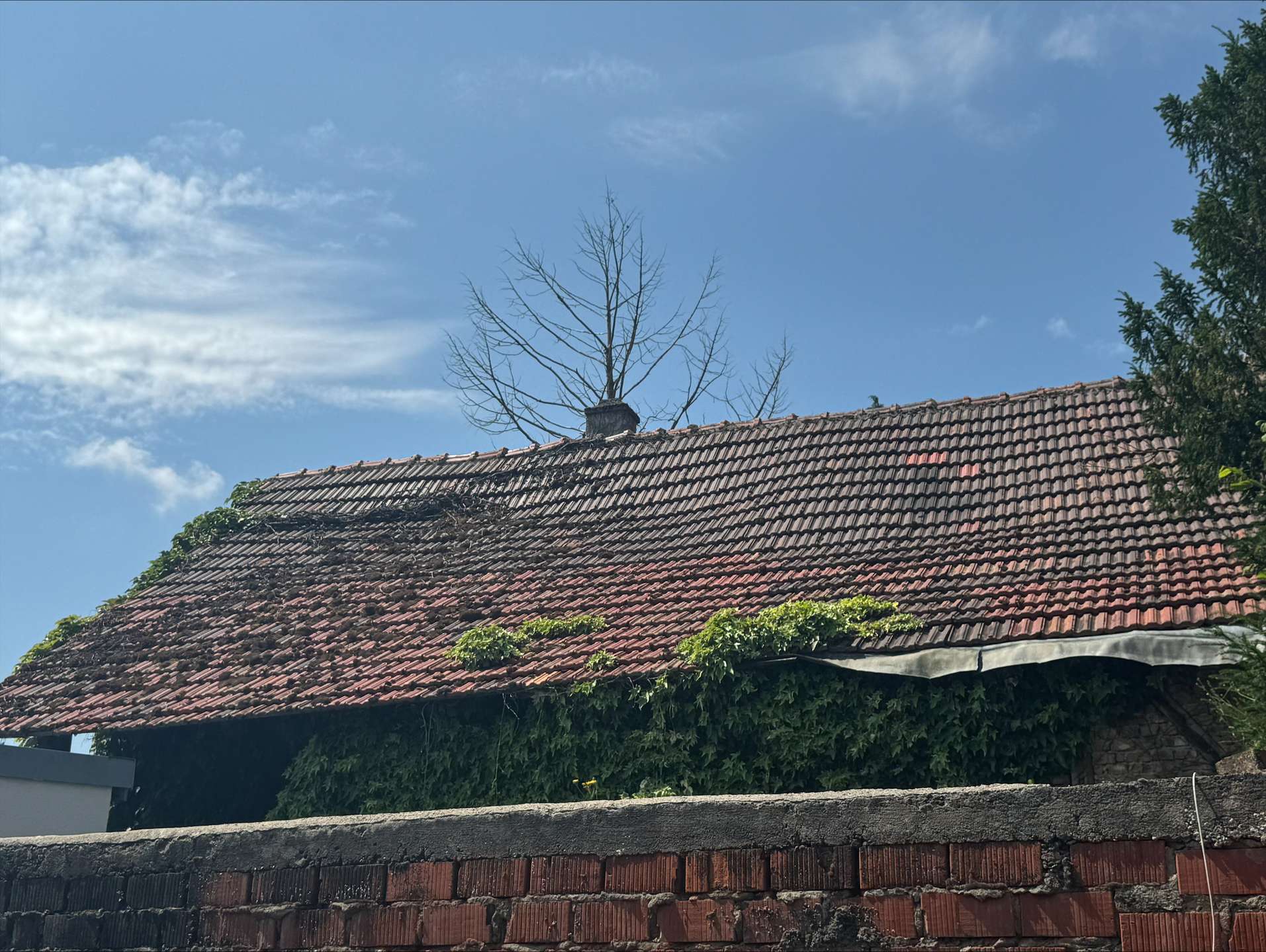 Ansicht Dach, Eiterfeld (Eiterfeld)