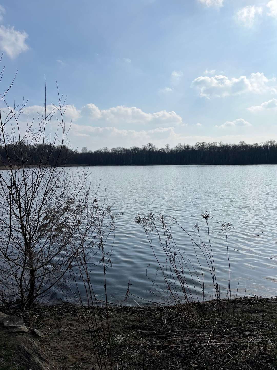 Umgebung Nymphensee, Falkensee 