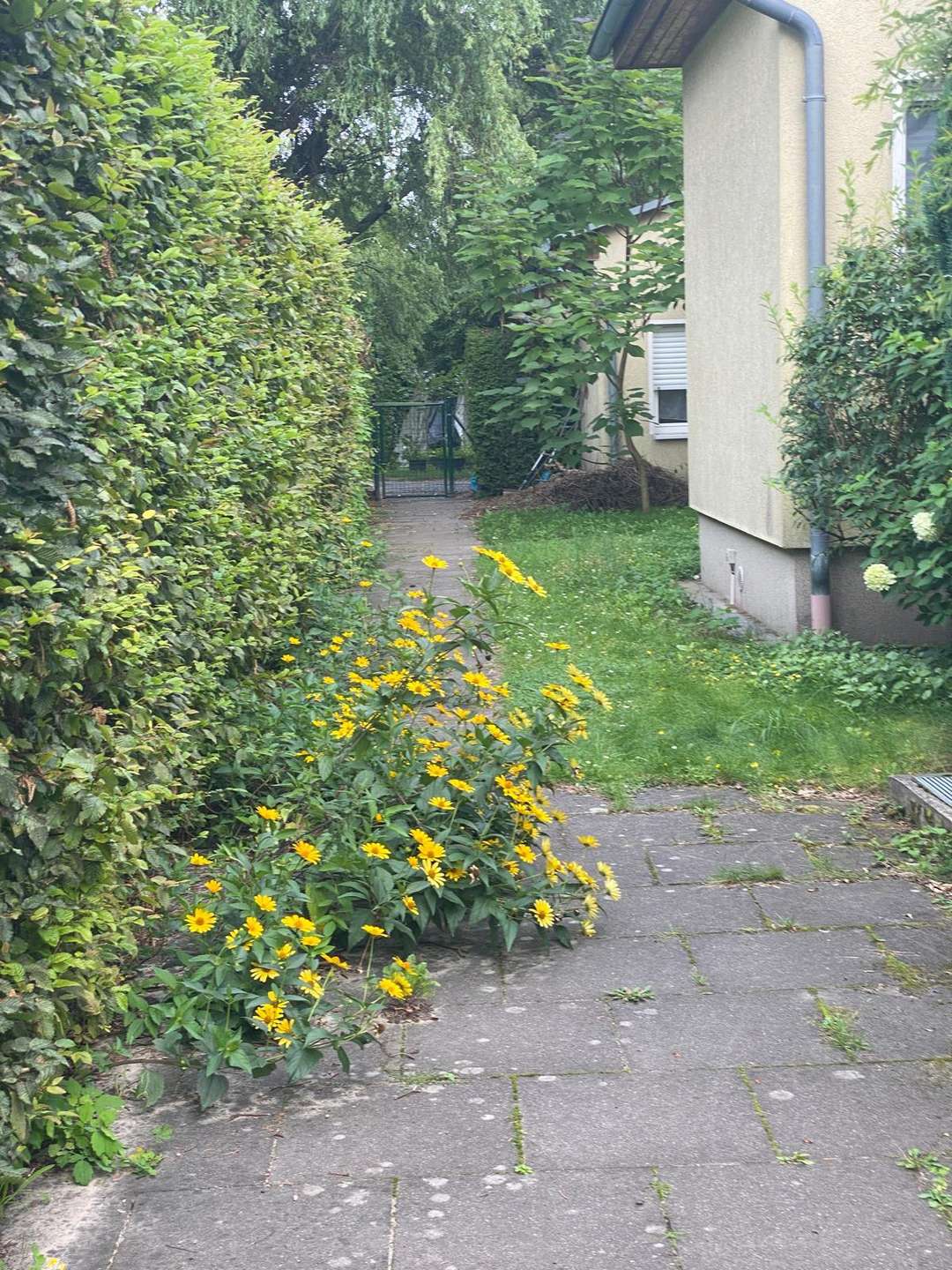 Grundstück, Falkensee 