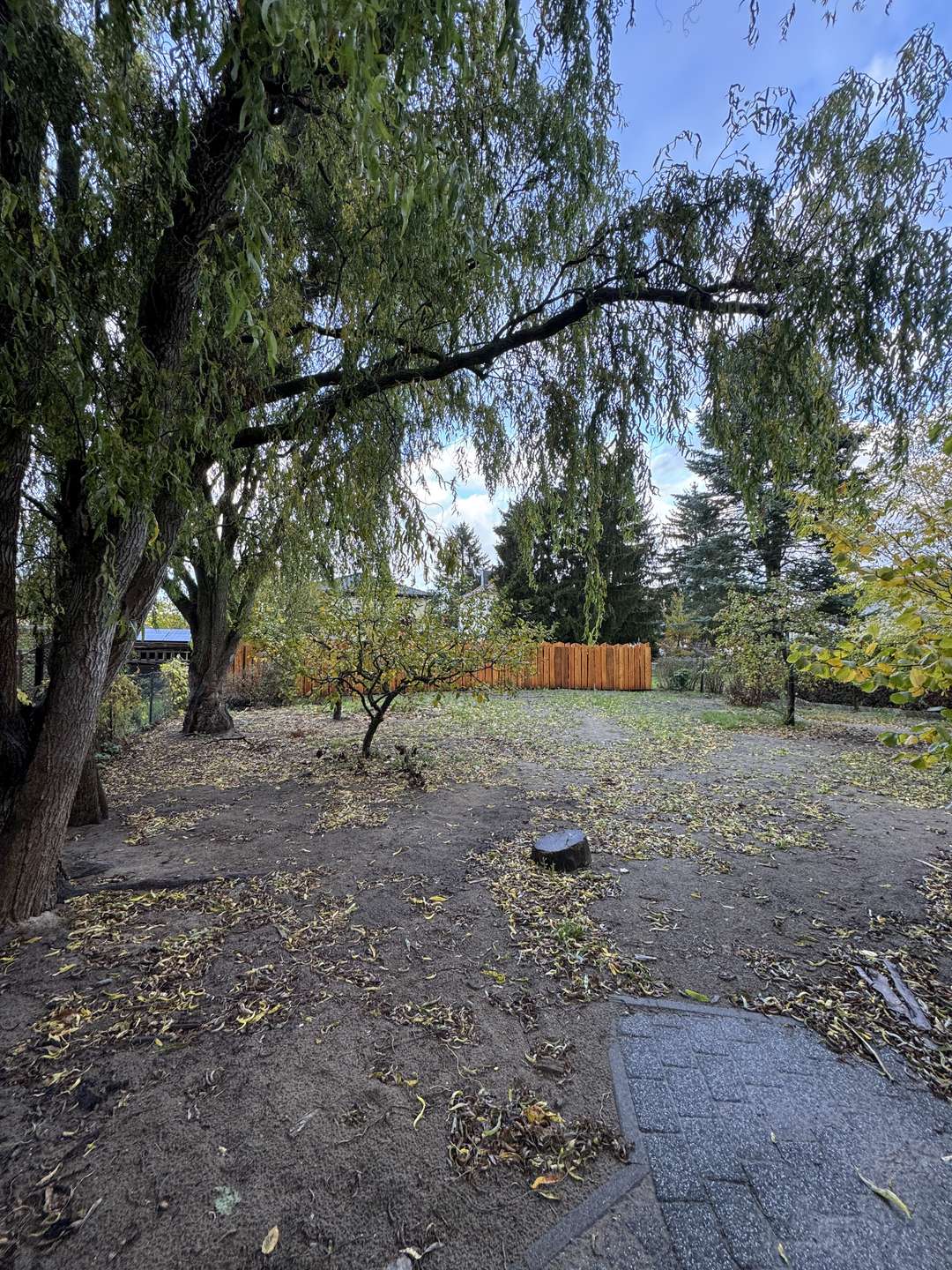 Garten, Falkensee 