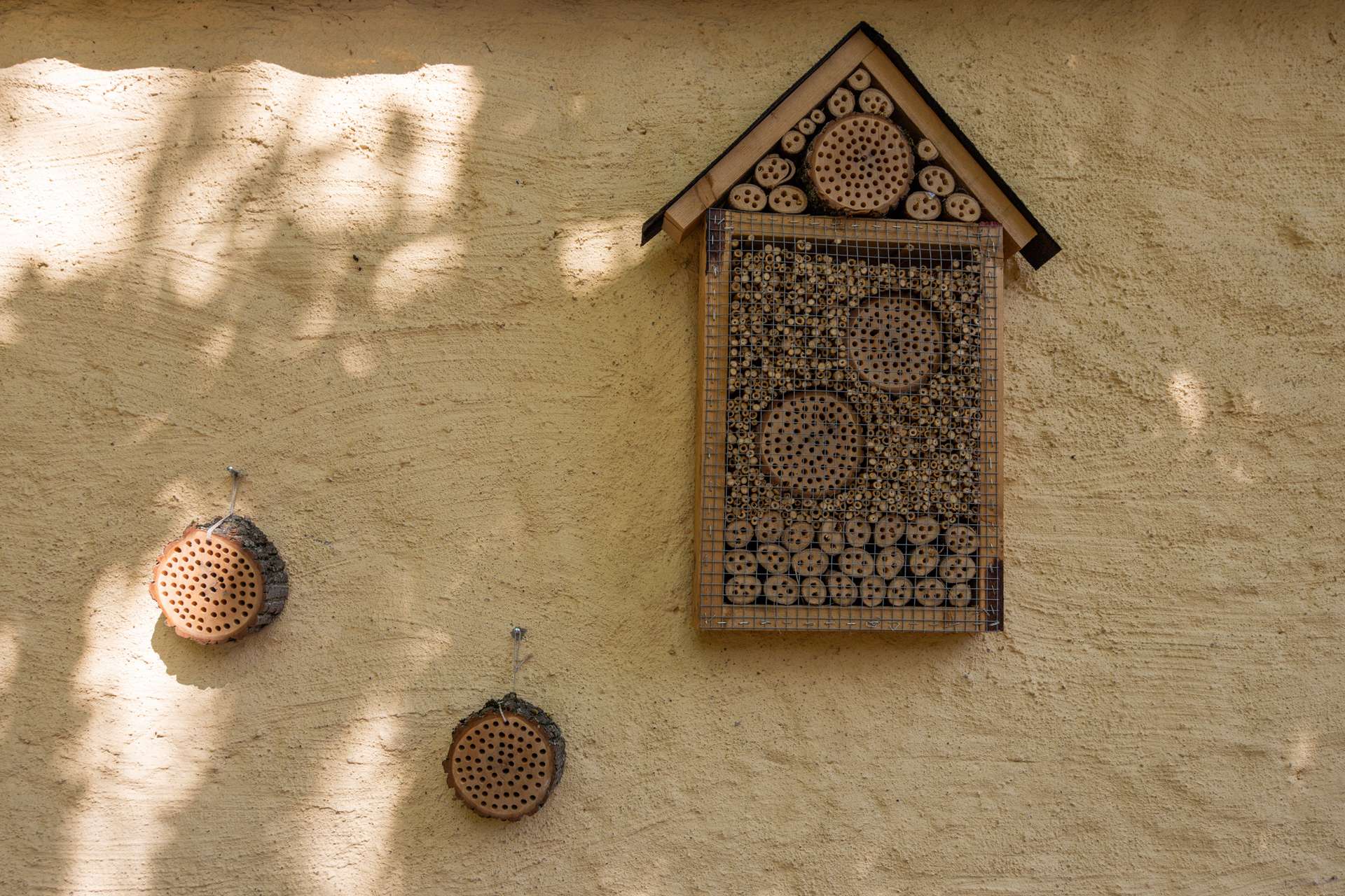 Detail Fassade, Markkleeberg (Markkleeberg)