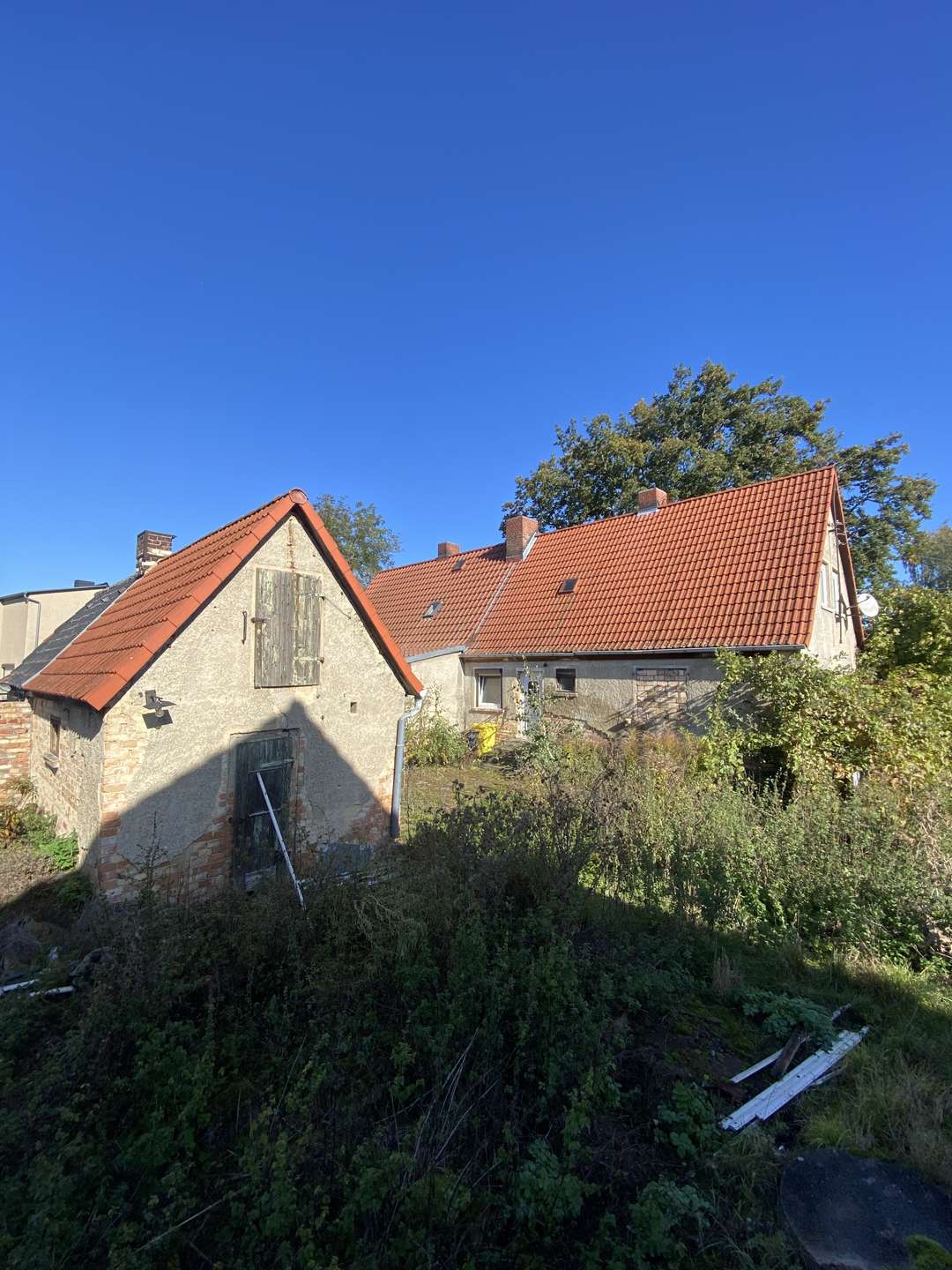 Blick auf Schuppen und Haus, Teutschenthal (Teutschenthal)