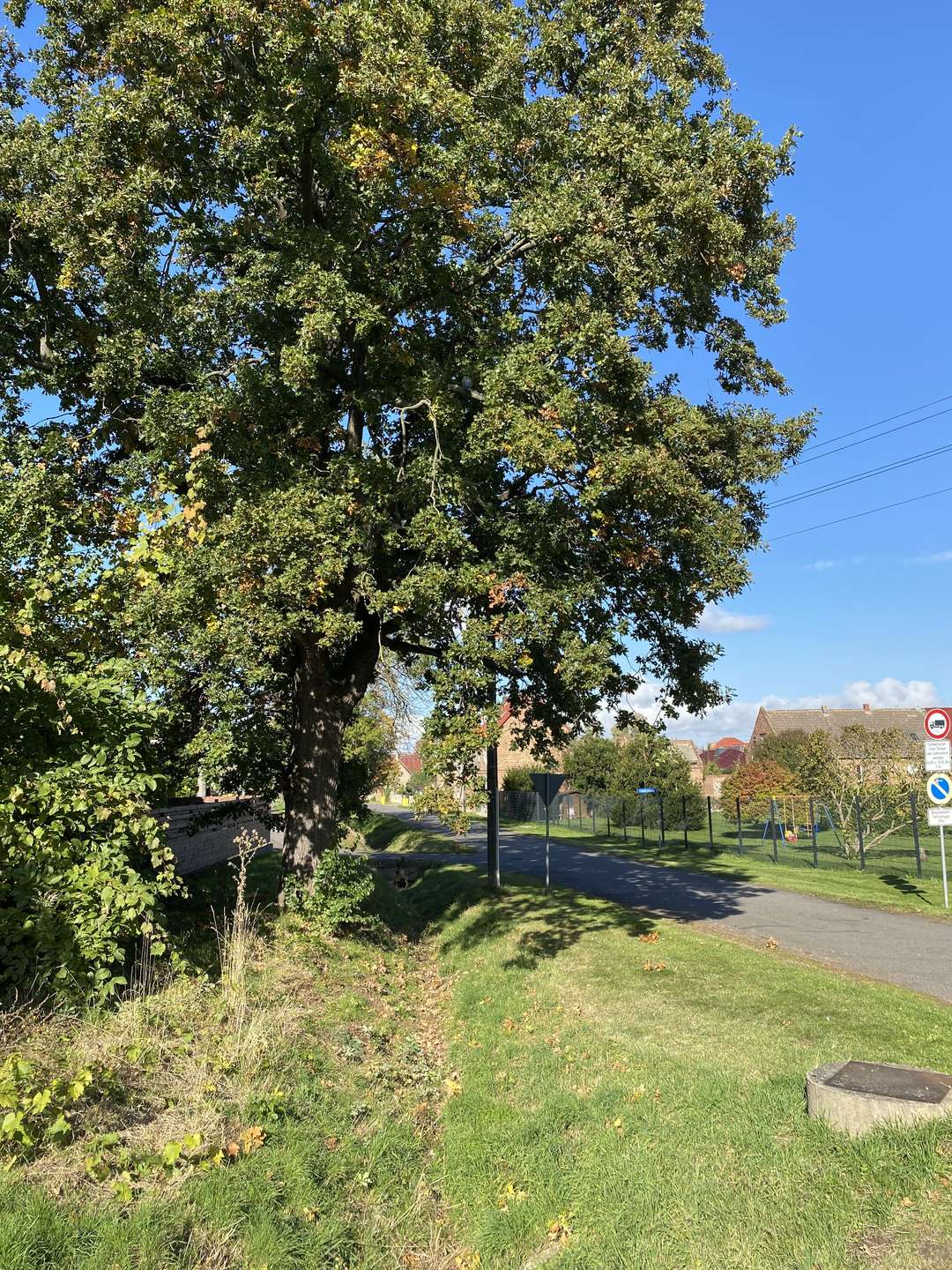 Umgebung, Teutschenthal (Teutschenthal)