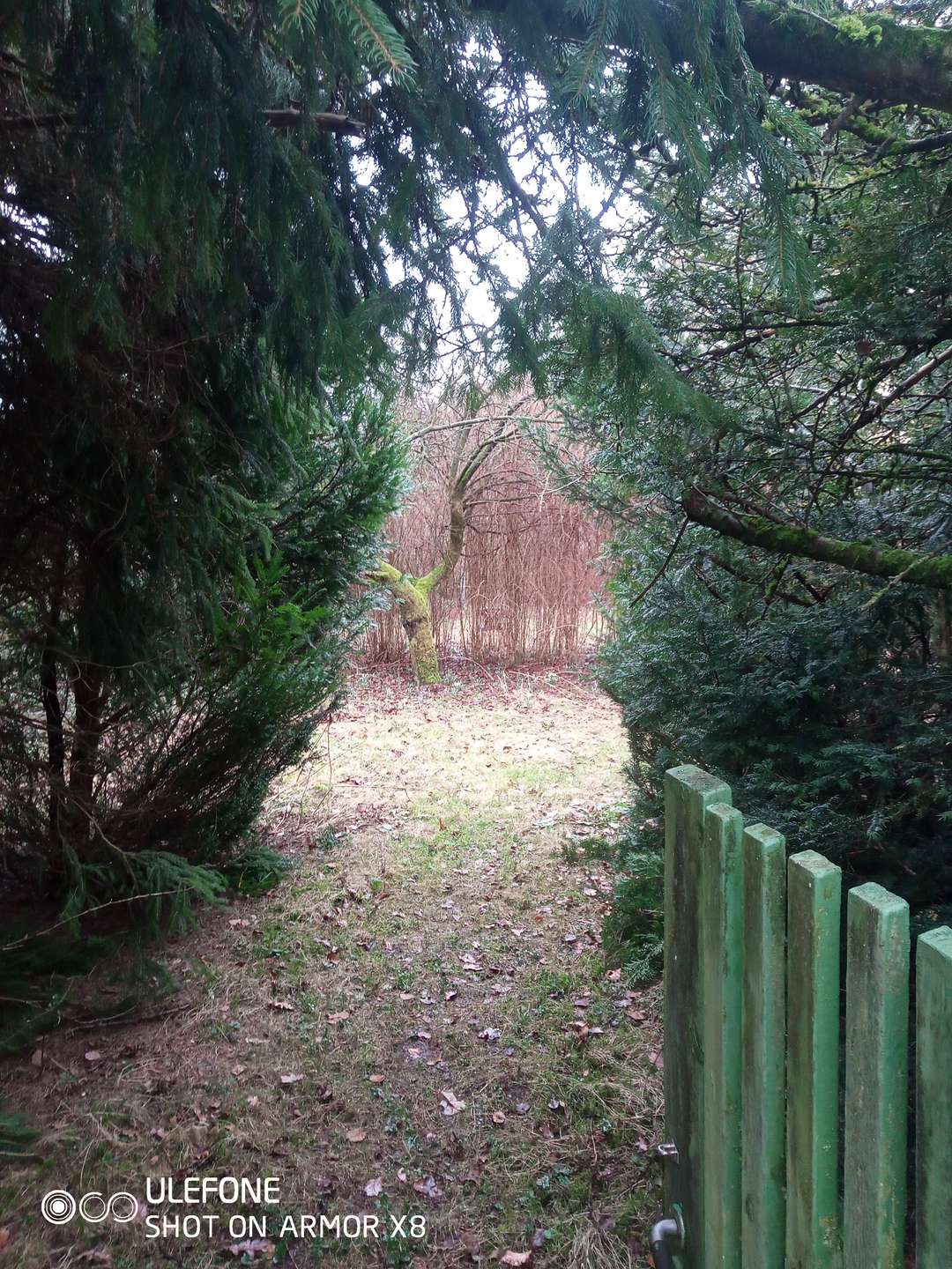 Eingang Gartentor, Chemnitz (Einsiedel)